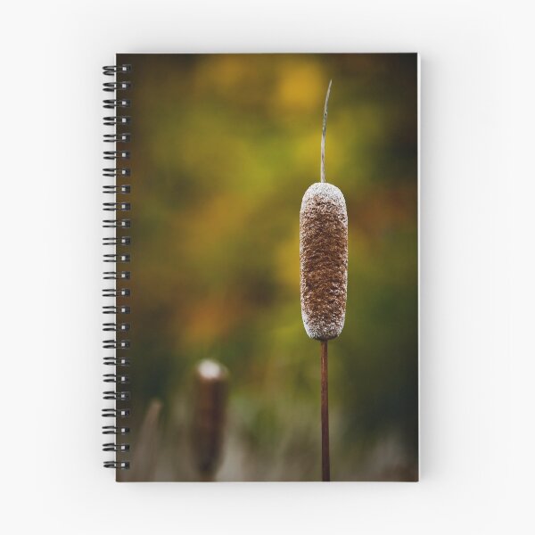 Item preview, Autumn Cattail designed and sold by Charles Plant.