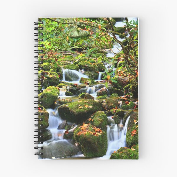 Aperçu de l'œuvre MOUNTAIN STREAM créée et vendue par Chuck Wickham.