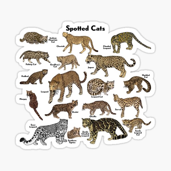 Item preview, Spotted Cats designed and sold by GraceT26.