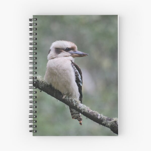 Item preview, Kookaburra designed and sold by DanielTMiller.