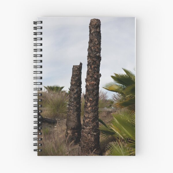 Item preview, Two Palm Stumps designed and sold by joshsteich.