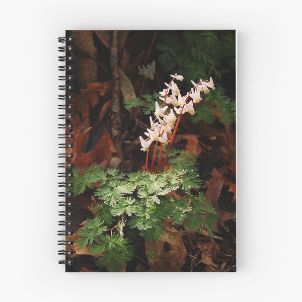 Item preview, Sunrise Reaches the Forest Floor designed and sold by Victoria Jostes.
