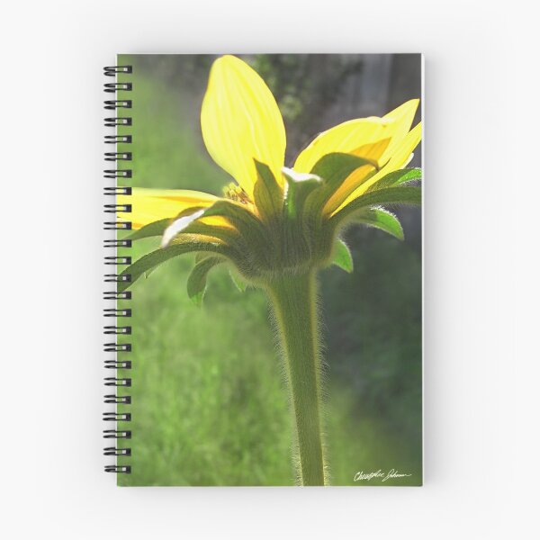 Item preview, Large Yellow Wildflowers 3 designed and sold by TravelPhotoArt.