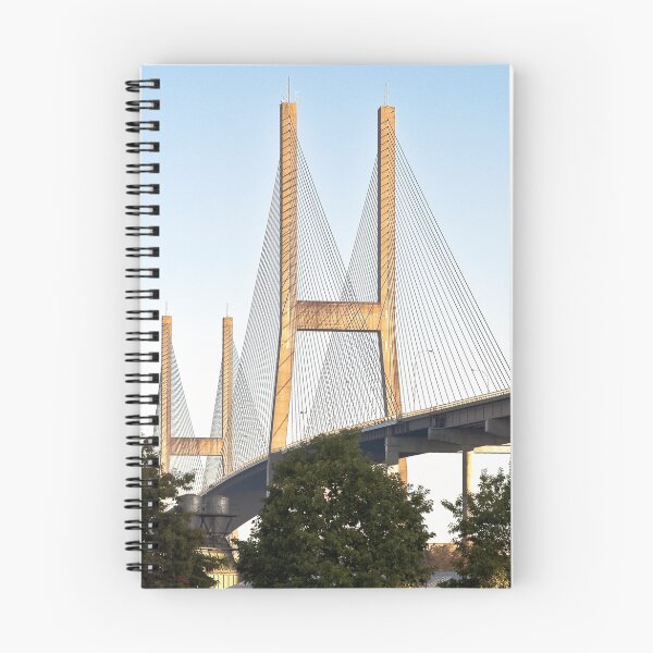 Item preview, The Bridge (Dedicated to Hart Crane) designed and sold by David Friederich.
