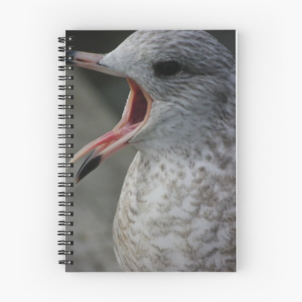 Item preview, Ah Shut Up... designed and sold by Larry Llewellyn.