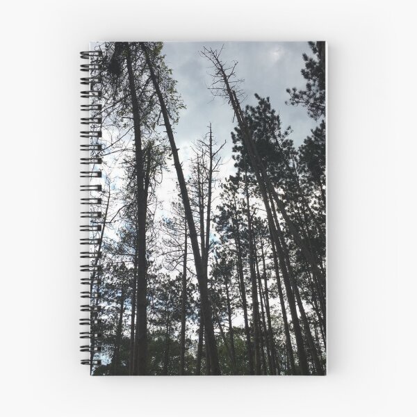 Item preview, Pine Forest designed and sold by Delta Chi Virginia Tech.