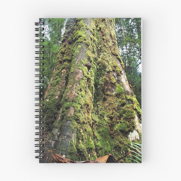 Item preview, Tree in Tara Bulga National Park, East Gippsland Victoria designed and sold by Bev Pascoe.