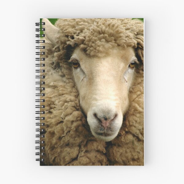 Item preview, Woolly designed and sold by Tamara Kenneally.