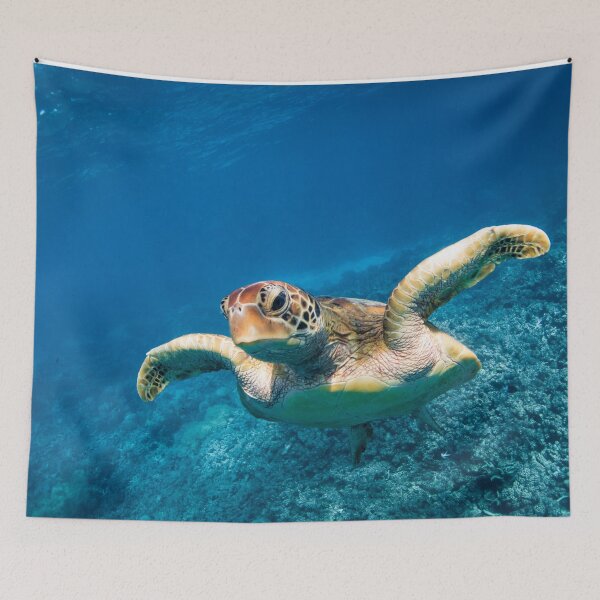 Item preview, Green Turtle on the Great Barrier Reef designed and sold by Libby Sterling.