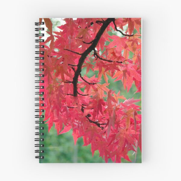 Artikelvorschau, Fall colors entworfen und verkauft von Robin Nellist.