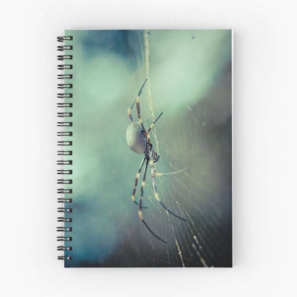 Item preview, Orb Weaver designed and sold by Louise Docker.