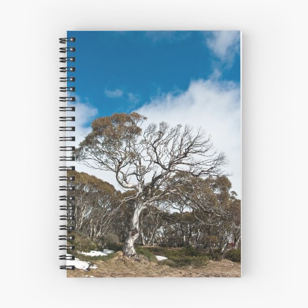 Item preview, My Perisher back country - 1 designed and sold by Peter McConvill.