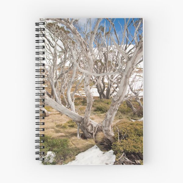 Item preview, Perisher back country - gum trees and snow designed and sold by Peter McConvill.