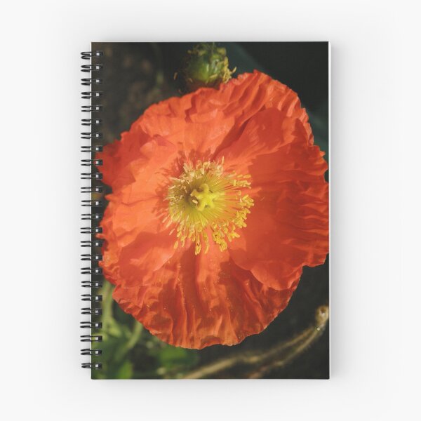 Item preview, Orange Poppy. designed and sold by CapturedByKylie.
