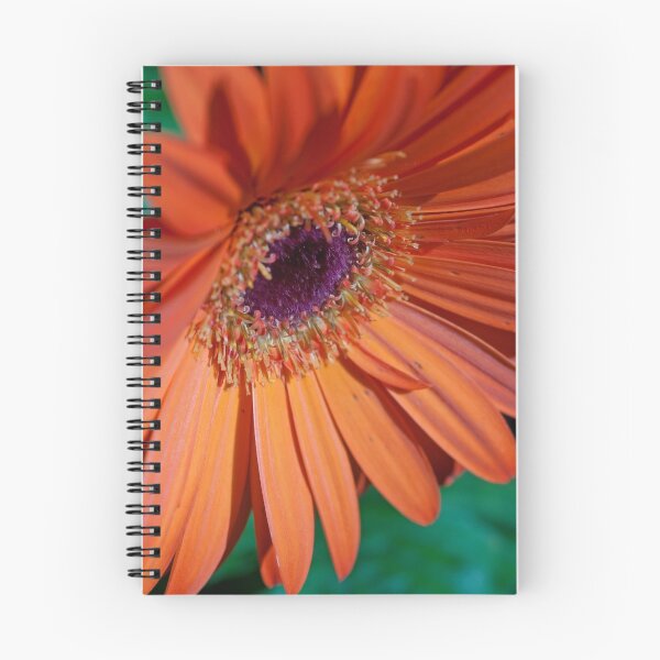 Item preview, Gerbera designed and sold by SusanAdey.