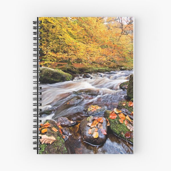 Item preview, Autumn falls designed and sold by Shaun Whiteman.