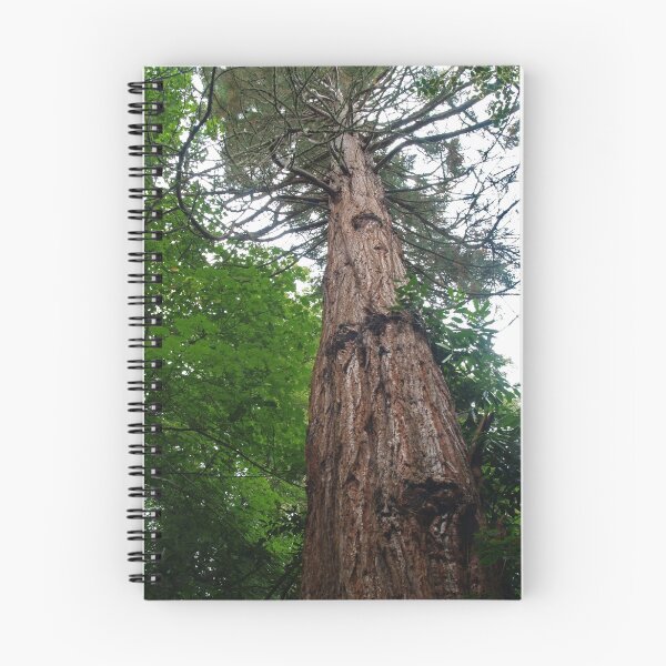 Item preview, Pinus Sylvestris designed and sold by WatscapePhoto.