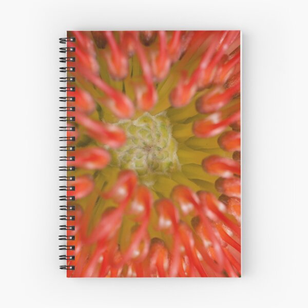 Item preview, Leucospermum II designed and sold by SusanAdey.