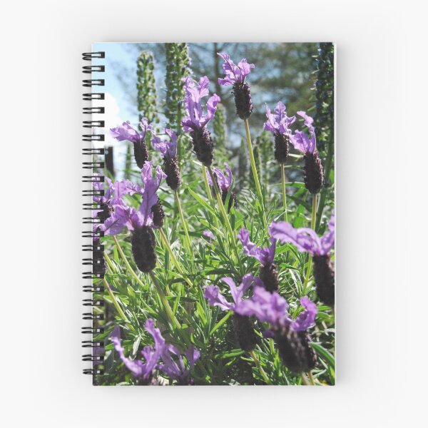 Artikelvorschau, Towering Lavender entworfen und verkauft von MissyD.
