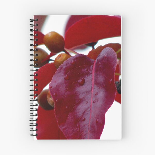 Item preview, Autumns Relief designed and sold by Adair  Davidson.