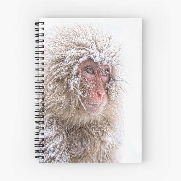 Item preview, Snowed in designed and sold by Anne Young.
