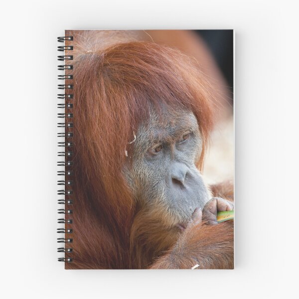 Item preview, Orang Utan designed and sold by margotk.