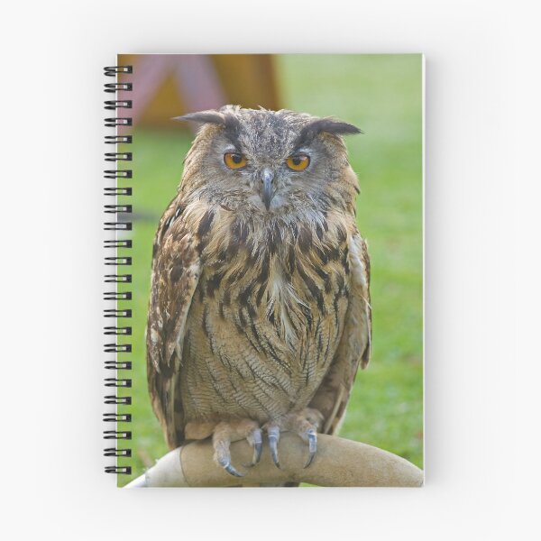 Item preview, Eagle Owl designed and sold by Jon Lees.