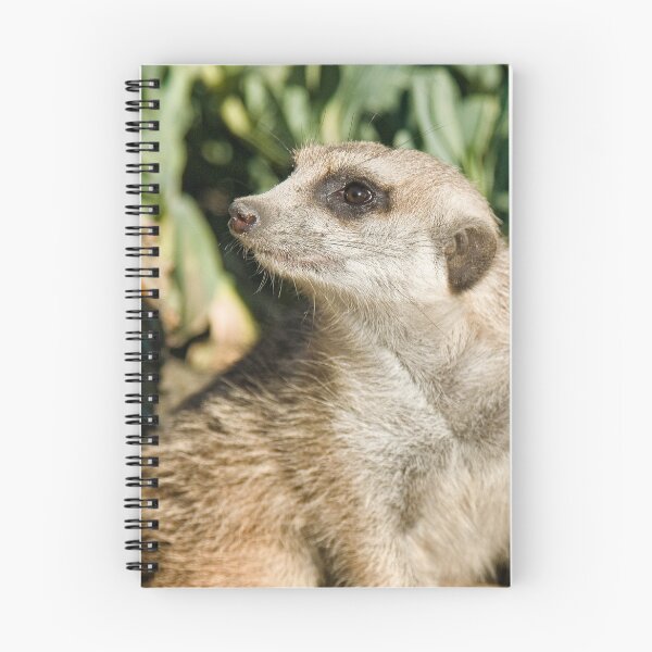 Item preview, I Wonder What You're Thinking designed and sold by Buzzimage.