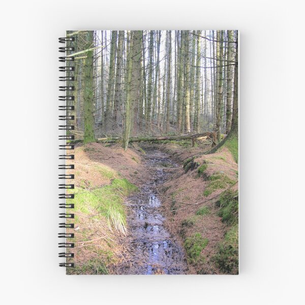 Item preview, Bare trees in the wood designed and sold by Lindamell.