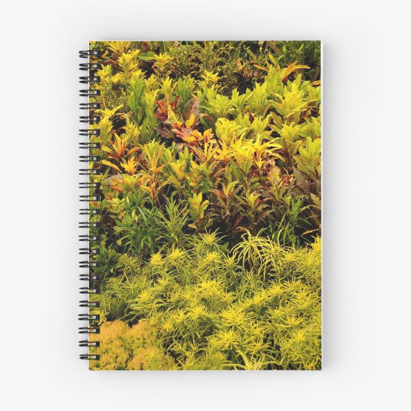 Item preview, Freshness designed and sold by Charuhas  Images.