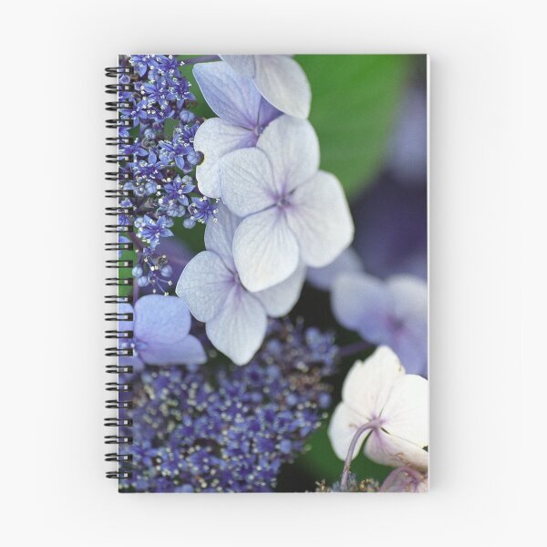 Item preview, Blue Hydrangea designed and sold by jeliza.