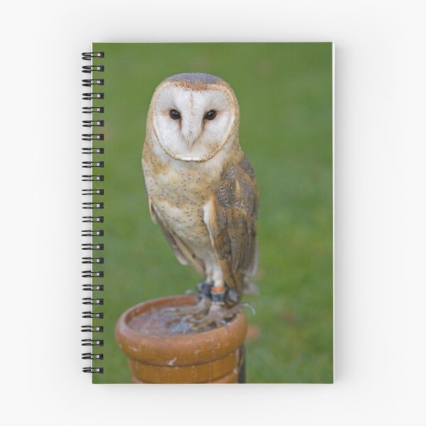 Item preview, Barn Owl designed and sold by Jon Lees.