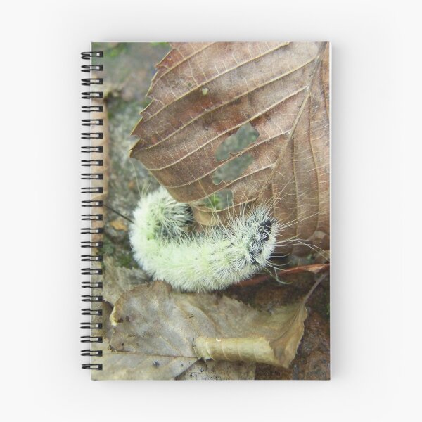 Item preview, Wooly Bear designed and sold by DwCCreations.