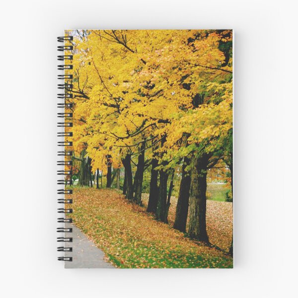 Item preview, Sugar Maples in Fall designed and sold by ckroeger.