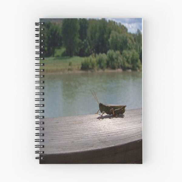 Item preview, Walking the Plank designed and sold by DwCCreations.