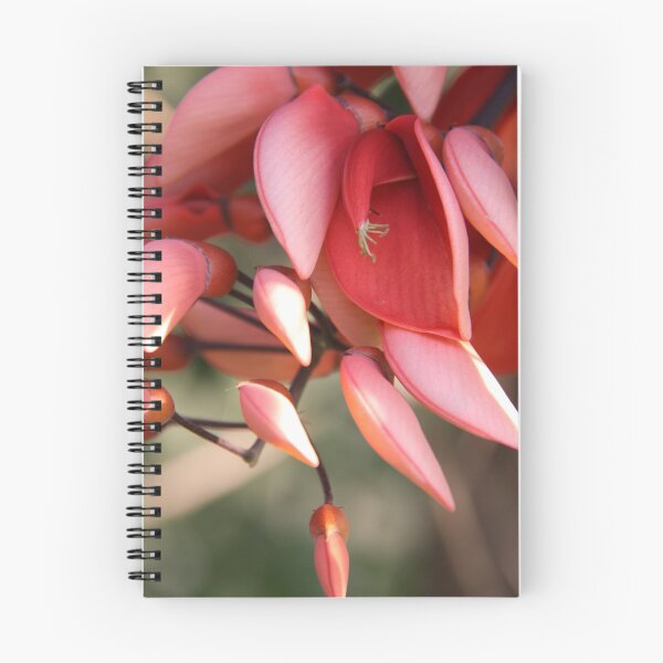 Item preview, Red Flowers of Buderim  designed and sold by Debbie  Widmer.