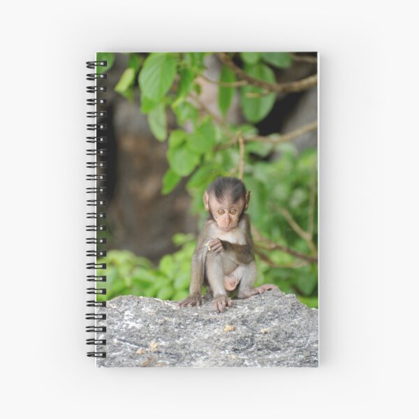Baby Monkey Spiral Notebook
