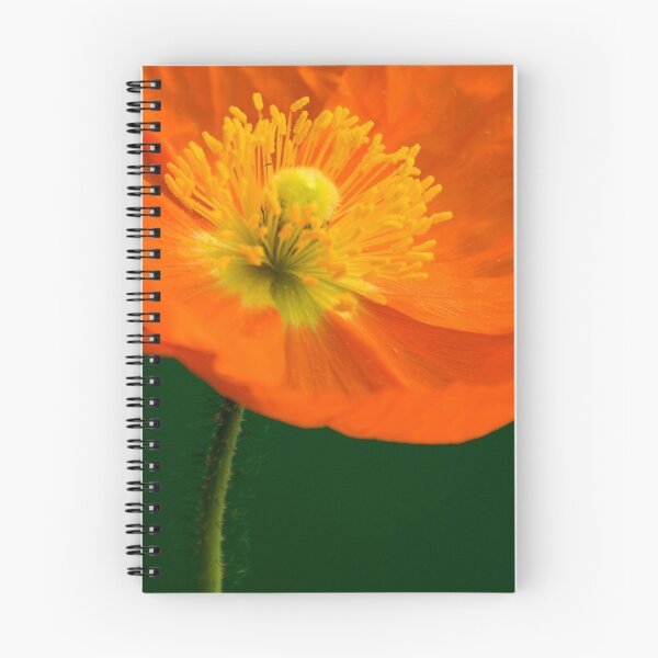 Item preview, Happy Poppy designed and sold by picketty.