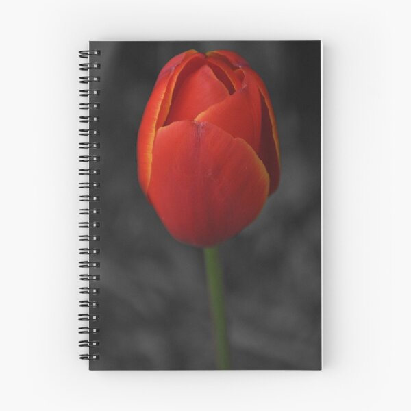 Item preview, red tulip designed and sold by Tamara Bush.
