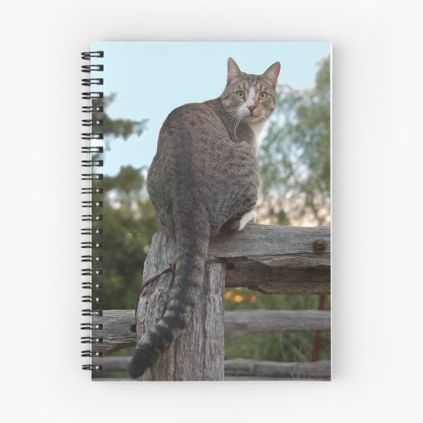Item preview, ON GUARD designed and sold by Helen Akerstrom Photography.