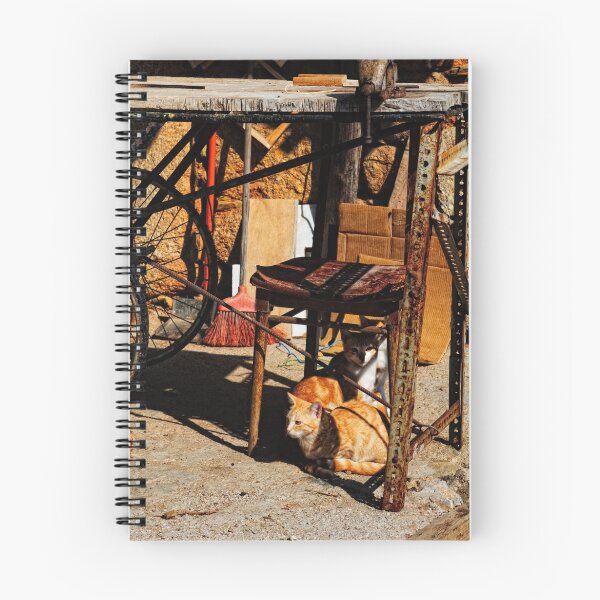 Aperçu de l'œuvre cat's workshop créée et vendue par AndrewJonesFoto.