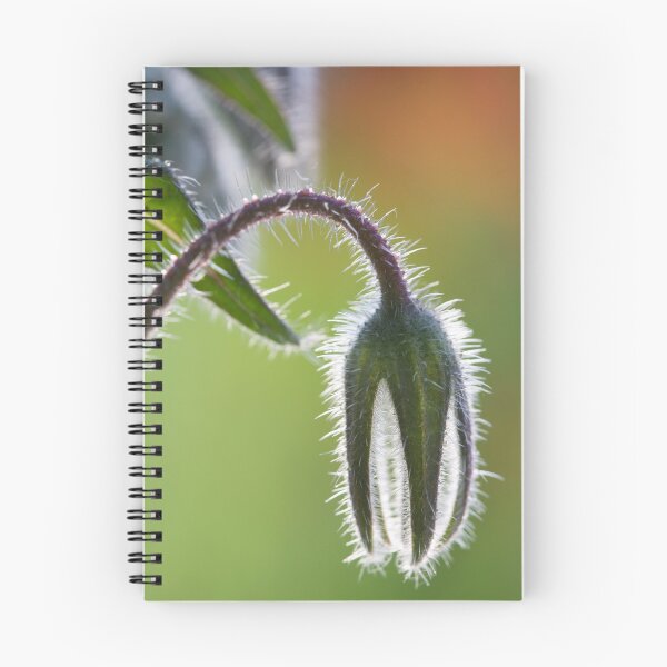 Item preview, Borage designed and sold by S Covey.