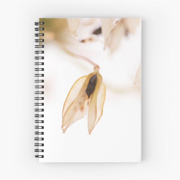 Item preview, Agapanthus Seed designed and sold by S Covey.
