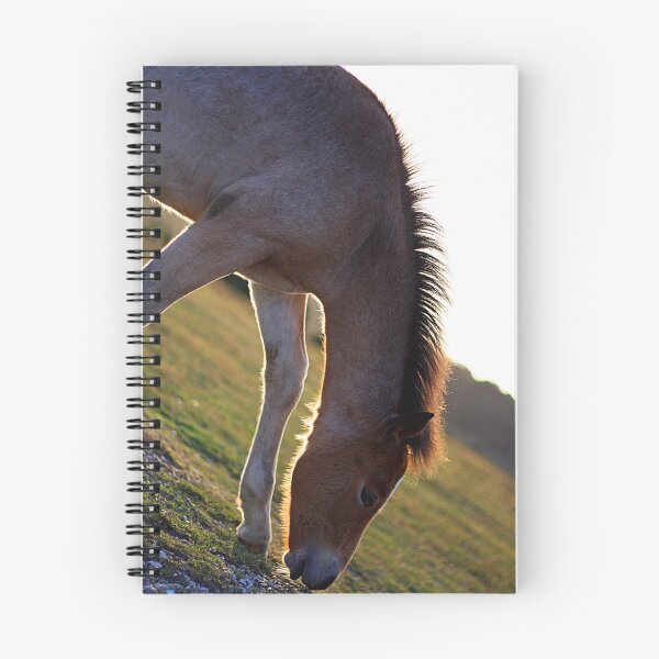 Item preview, Foal designed and sold by Ben Luck.