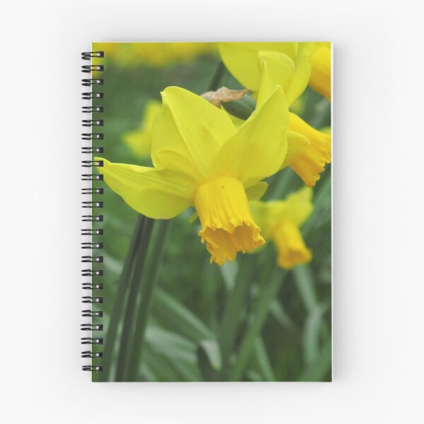 Item preview, Heralding Spring! designed and sold by Patsy Smiles.