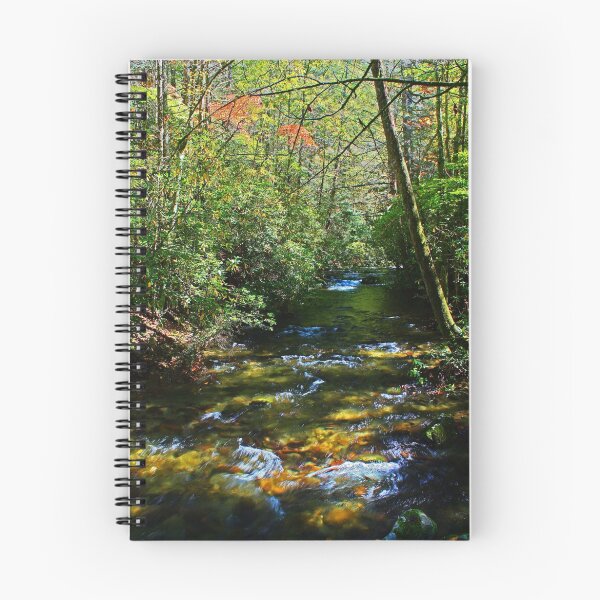 Item preview, SUN DAPPLED STREAM designed and sold by Chuck Wickham.