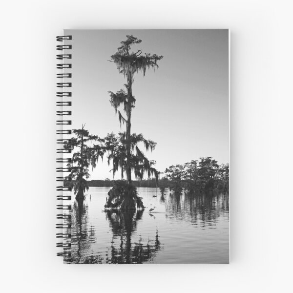 Artikelvorschau, Egret under Cypress at Sunset entworfen und verkauft von Bonnie T.  Barry.
