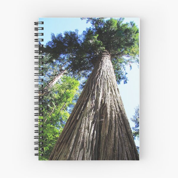 Item preview, Douglas Fir designed and sold by Alyce Taylor.
