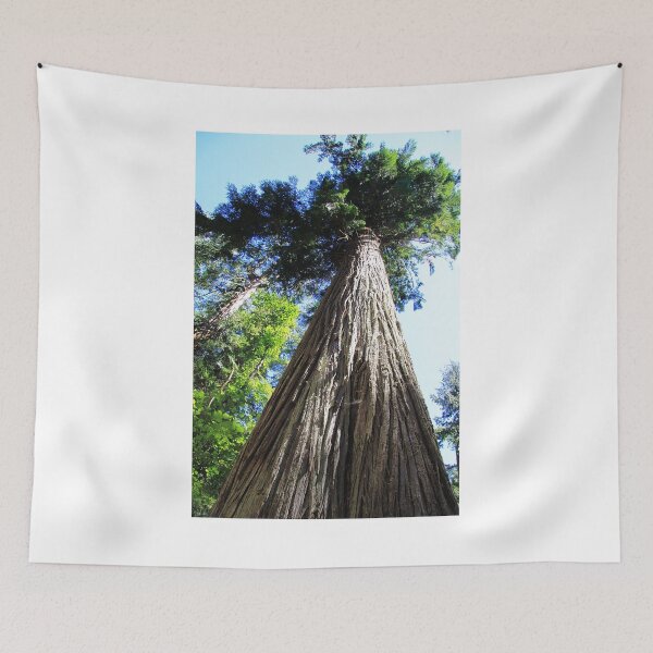 Item preview, Douglas Fir designed and sold by Alyce Taylor.