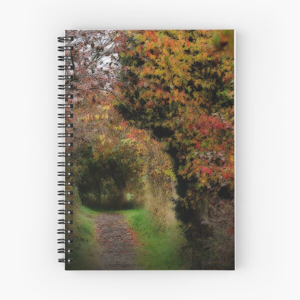 Aperçu de l'œuvre Ahhh...Autumn. créée et vendue par DThiessen.